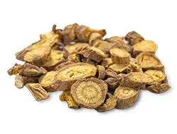 Baical Skullcap Root Extract Baical Skullcap Root